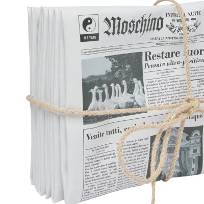THE NEWSPAPER BAG
